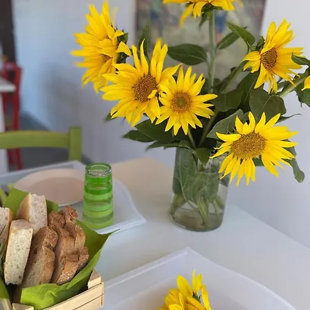 Naturaverde * Σενιγκάλια