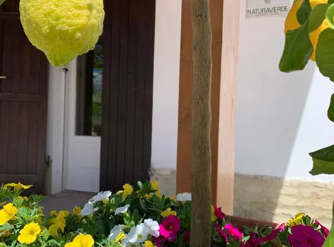 Gospodarstwo agroturystyczne Naturaverde Senigallia