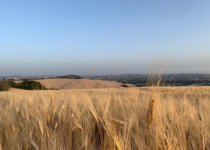 Gospodarstwo agroturystyczne Naturaverde *